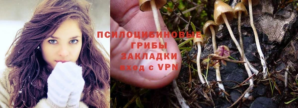 герыч Алзамай