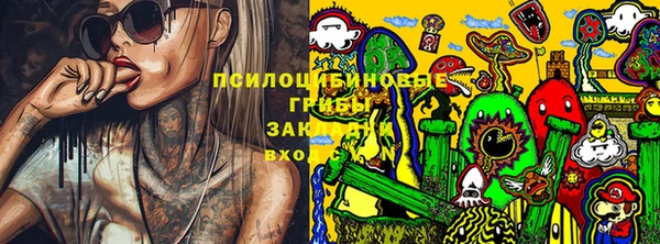 прущие крисы Алексин
