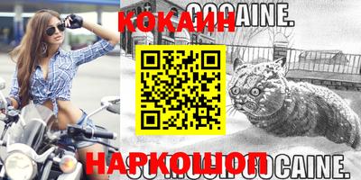 шишки Лесосибирск