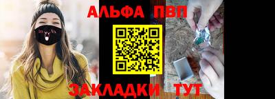 шишки Лесосибирск
