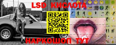 шишки Лесосибирск