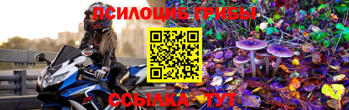 Псилоцибиновые грибы GOLDEN TEACHER Ижевск